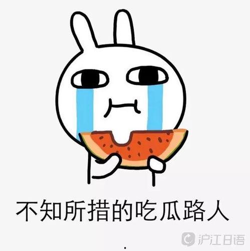 路人吃瓜娱乐圈